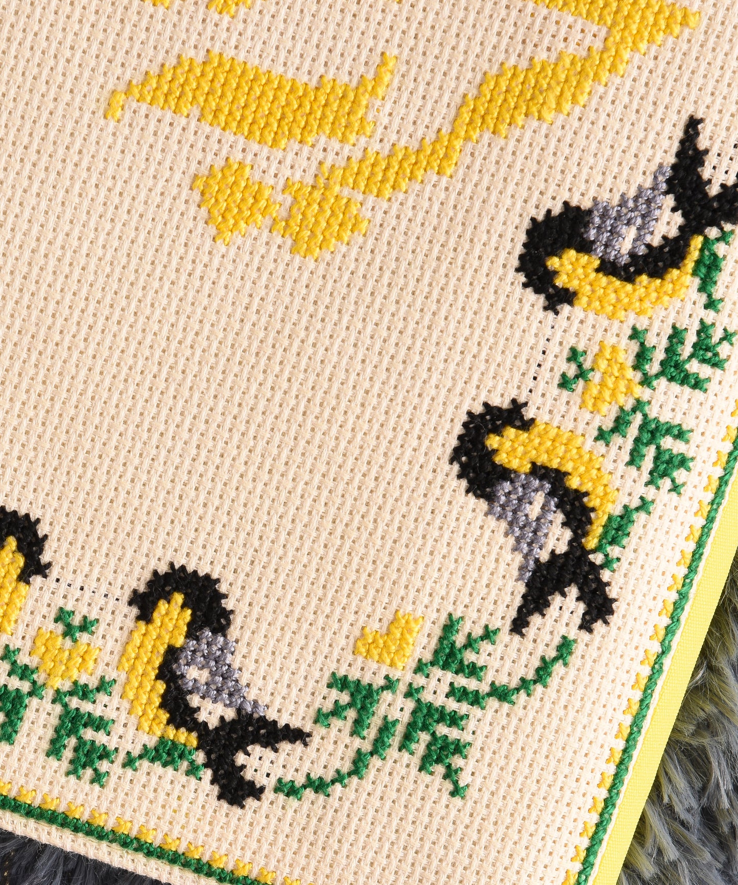 Yellow and Cream (Freedom) Book Cover